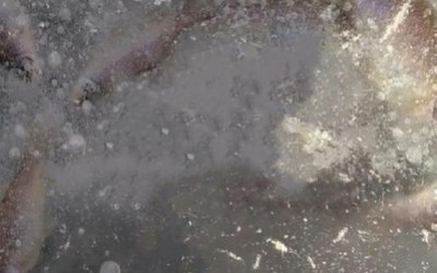 Массовый замор рыбы на реке Белый Июс
