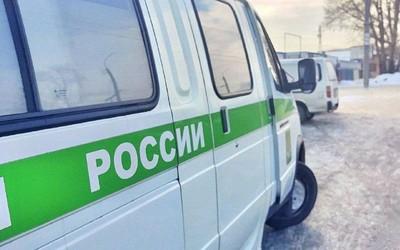 Абаканские коммунальщики выплатили 220 тыс. руб. за ветку тополя, упавшую на машину