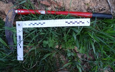 Семейная пара убила знакомую косой в Таштыпе. Грозит до 20 лет