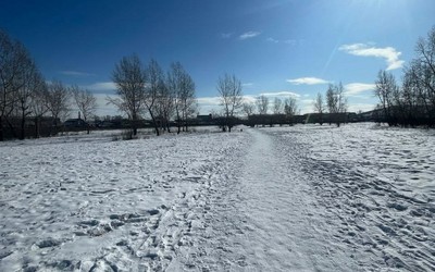 За нападение на 8-летнюю девочку в Шира хозяйка псов выплатит 500 тыс. руб.