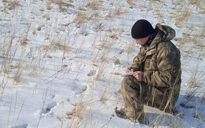 Зимнюю перепись заповедных обитателей проводят в Хакасии