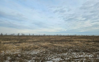 Большой участок с сухостоем заставили расчистить в Усть-Абаканском районе