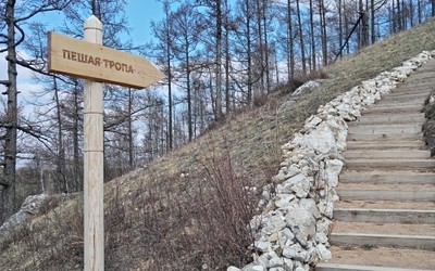 Свежий карстовый провал обнаружили неподалеку от территории «Тропы предков»