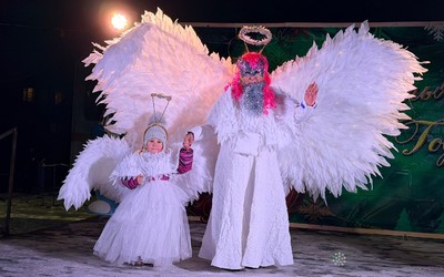Новогодний карнавал хотят устраивать в Черногорском парке