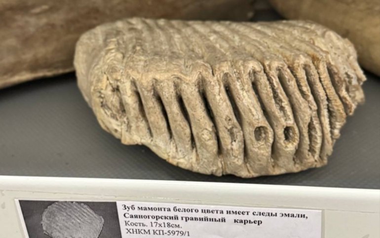 В фондохранилище главного музея Хакасии можно попасть на экскурсиях