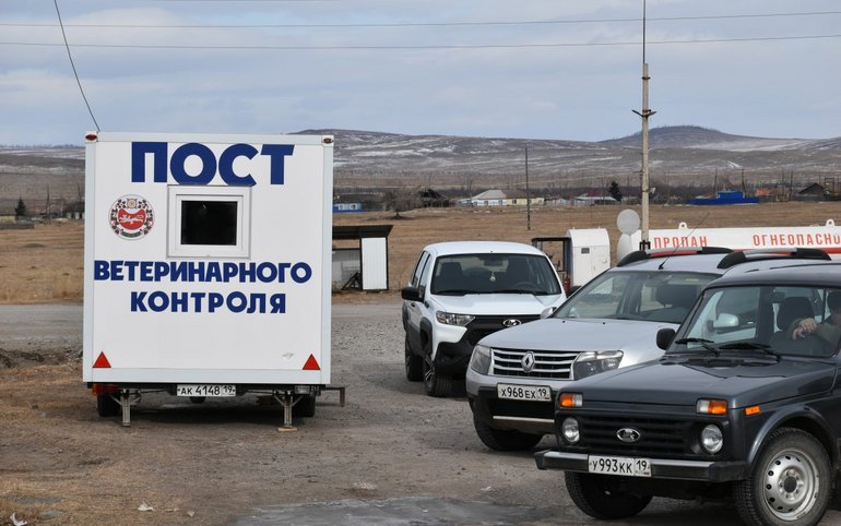 Пост ветеринарного контроля работает в Боградском районе