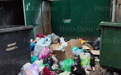На свалку на мусорной площадке жалуются абаканцы