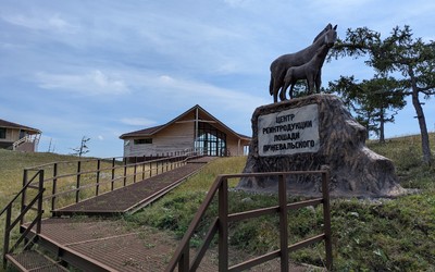 Центр реинтродукции лошади Пржевальского: отопление и вентиляция готовы в визит-центре