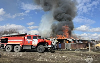 Полсотни свиней сгорели в Очурах
