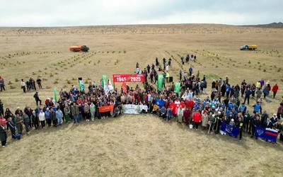 «Солярный знак» из 6000 сосен высадят в Хакасии