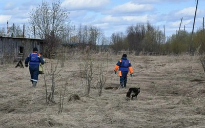 В Енисейске спасли собаку, застрявшую на острове из-за паводка