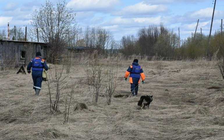 В Енисейске спасли собаку, застрявшую на острове из-за паводка