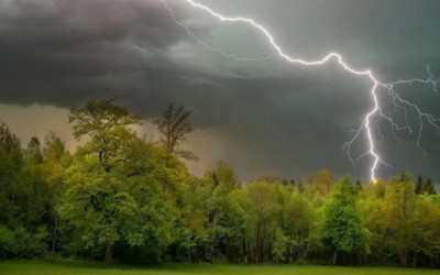Дерево упало на канатную дорогу горнолыжного комплекса в Черемушках 