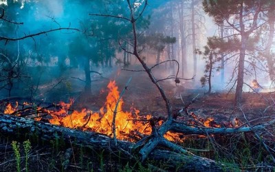 Еще один лесной пожар из-за грозы тушили в Хакасии