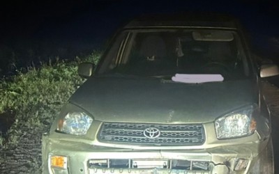 Десять овец попали под колеса Toyota Rav 4 в Боградском районе