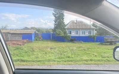Медведь вышел к домам в селе Нижние Сиры