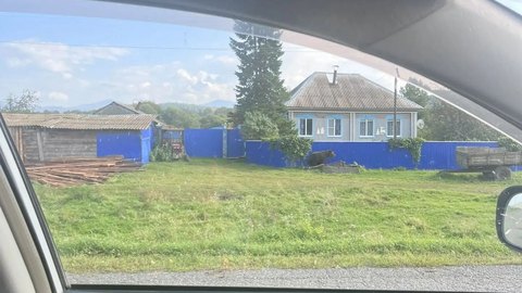 Медведь вышел к домам в селе Нижние Сиры