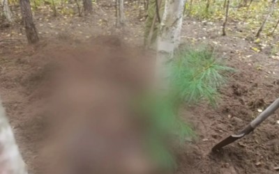 Медведь растерзал двух женщин в Красноярском крае
