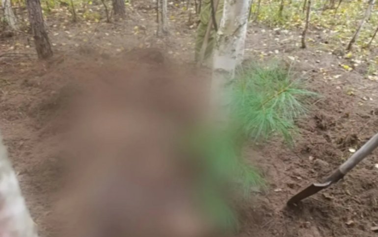 Медведь растерзал двух женщин в Красноярском крае