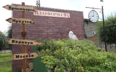 «Платформа 9 ¾» как из «Гарри Поттера» появилась в Абакане 