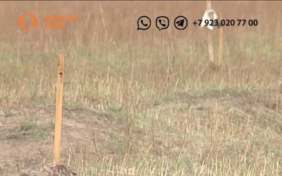 Как молодой семье получить земельный участок в Хакасии?