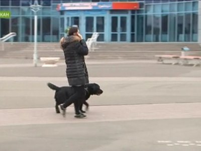 В Абакане впервые появится специальная площадка для выгула собак