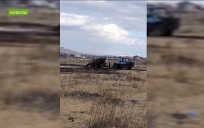 Фермер под Абаканом сливает фекалии на глазах жителей Кайбал