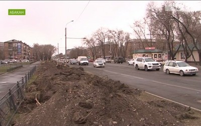Тополей в Абакане больше не будет