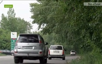 Водители Абакана жалуются на нависающие тополя по Крылова
