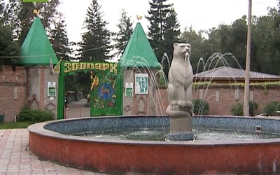 Пенсионеры смогут сходить бесплатно в зоопарк Абакана