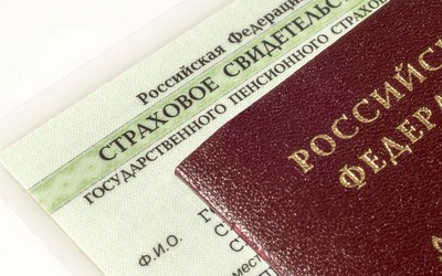 «Зелёные карточки» СНИЛС уходят в прошлое