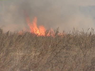 Последние дни для пикников: в Абакане вводится противопожарный режим