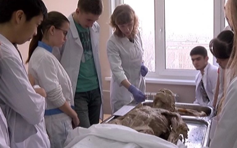 Студенты изучают анатомию. Стол пирогова твгму. Студенты изучают анатомию. Изучают анатомию на практике. Анатомический стол пирогов студенты.