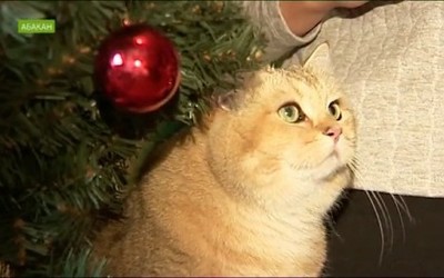 NotaBene 19.12.17 (вторник)