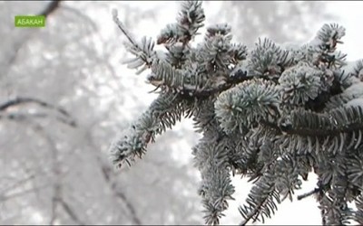 NotaBene 20.12.17 (среда)