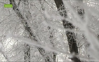 NotaBene 09.01.18 (вторник)