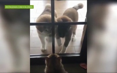 NotaBene 03.12.18 (понедельник)
