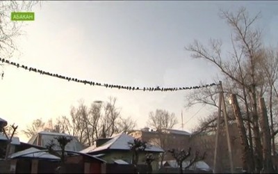 NotaBene 05.12.18 (среда)