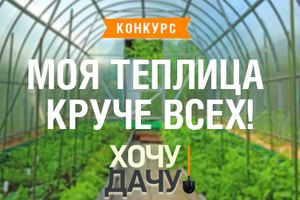 Моя теплица круче всех