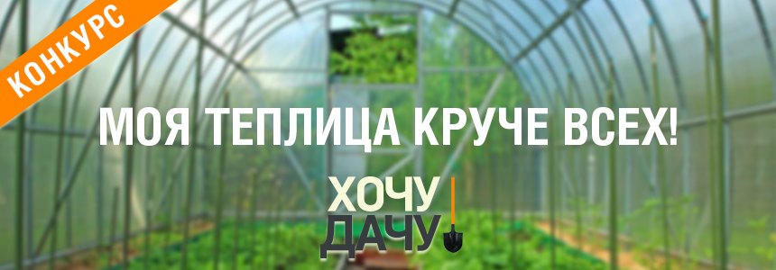 Моя теплица круче всех