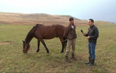Теория поля: в гостях у конюха
