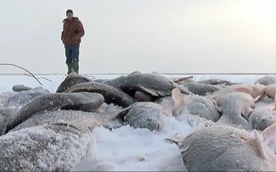 Теория поля: подлёдная рыбалка