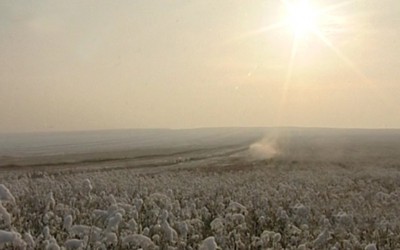 PostScriptum 18.01.2013