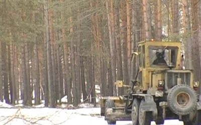 Далеко и плохого качества!