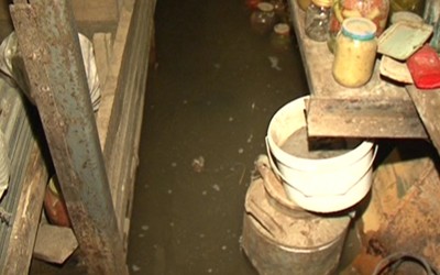 Разберёмся: урожай на пропажу