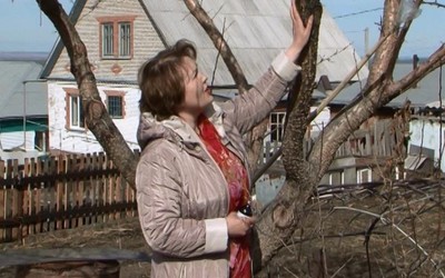 Все на дачу!