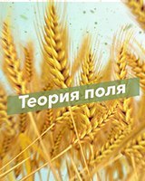 Теория поля