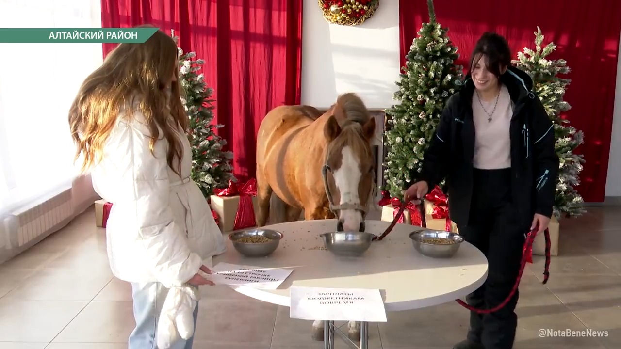 В преддверии года Красной Огненной Лошади мы отправились к живому символу 2026