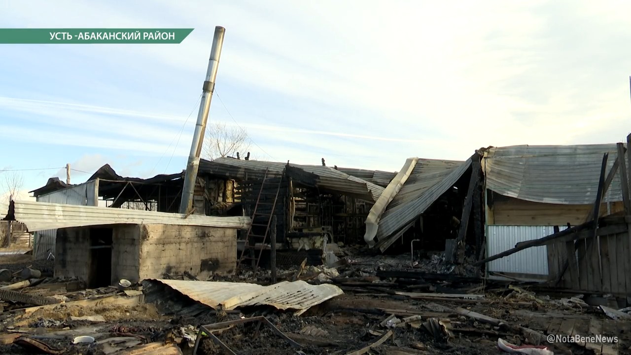 «Каштанкин дом» не может убраться после пожара