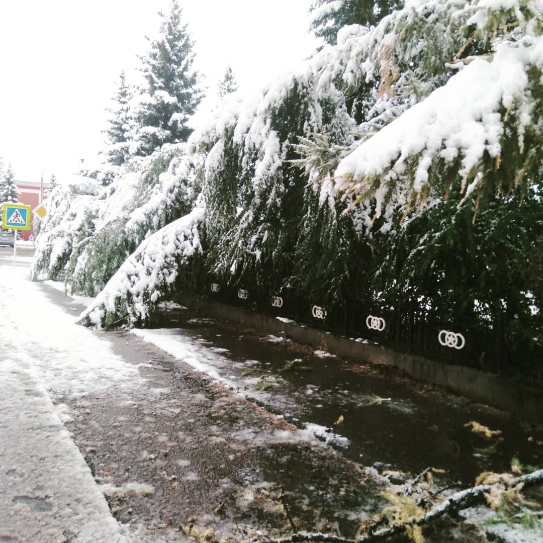Снег выпал в районе Сундуков и на трассе Абакан — Ак-Довурак